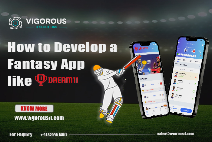 A Playbook to Develop Your Own Fantasy Sports App Like Dream11